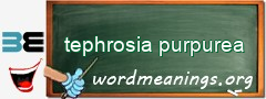 WordMeaning blackboard for tephrosia purpurea